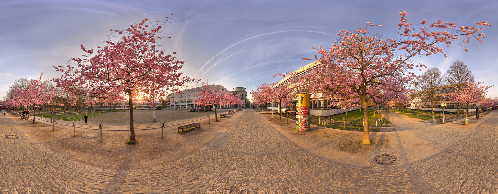 360 Grad Panoramafoto Kirschblüte Göttingen Campus